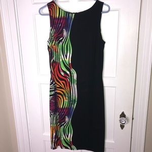 Frank Lyman Dress Size 10
